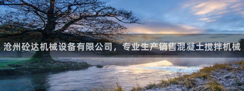 杏盛平台登陆：沧州砼达机械设备有限公司，专业生产销售混凝土搅拌机械