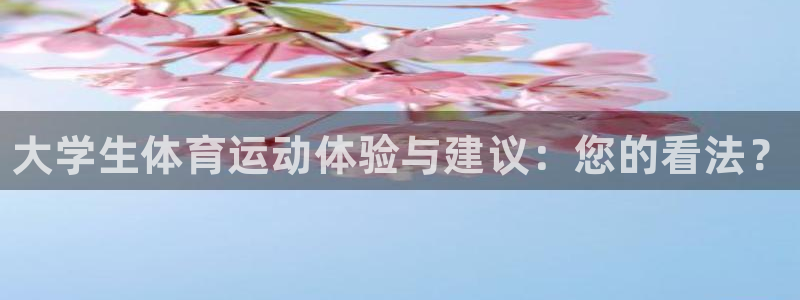 风速体育