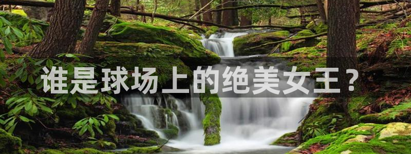 风速体育app