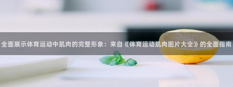 风速体育cba直播