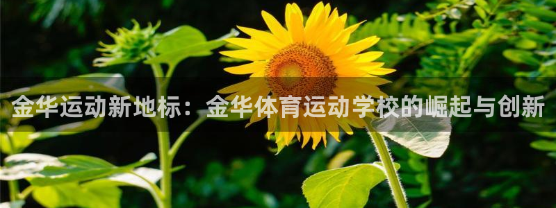 风速体育