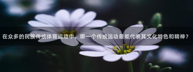 风速体育app下载安装最新版本