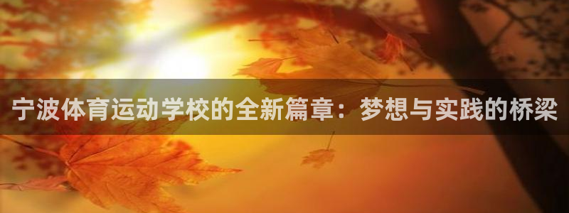 风速体育