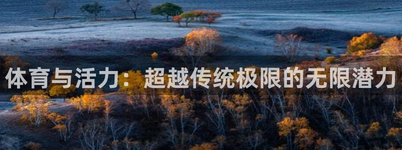 下载风速体育