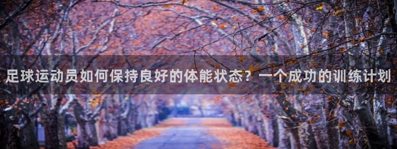 风速体育下载
