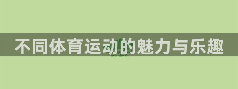 风速体育nba直播