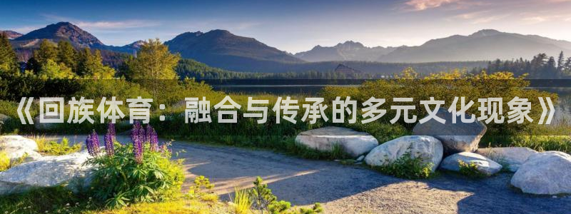 风速体育直播app