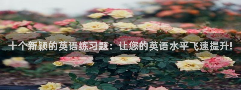 下载风速体育