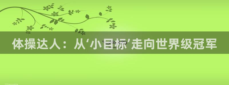 风速体育