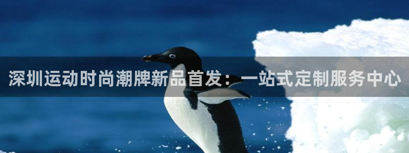 风速体育