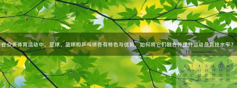 风速体育直播