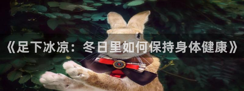 风速体育