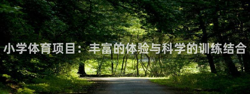 风速体育官网
