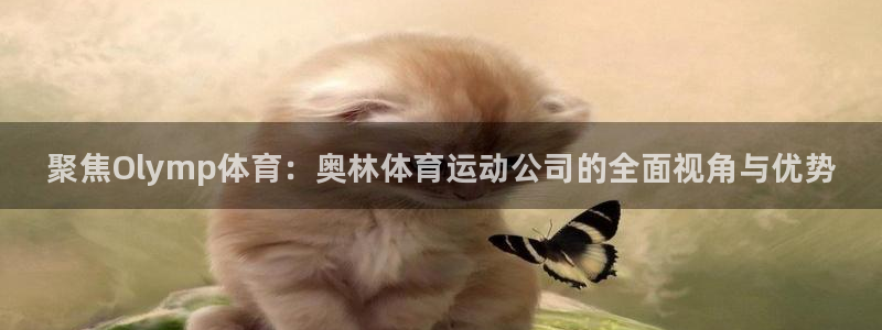 风速体育官网