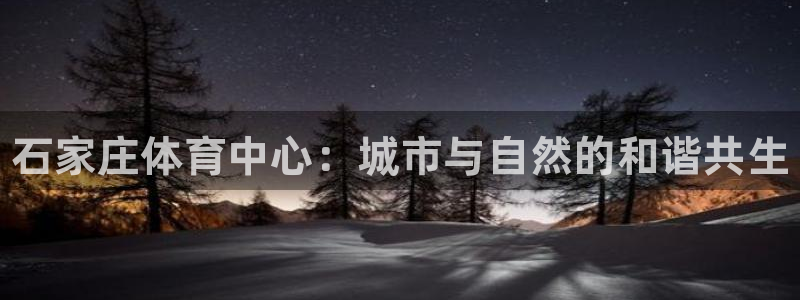风速体育app下载官网最新版