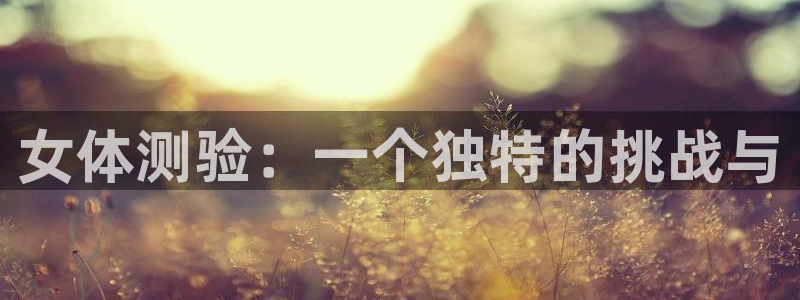 下载风速体育