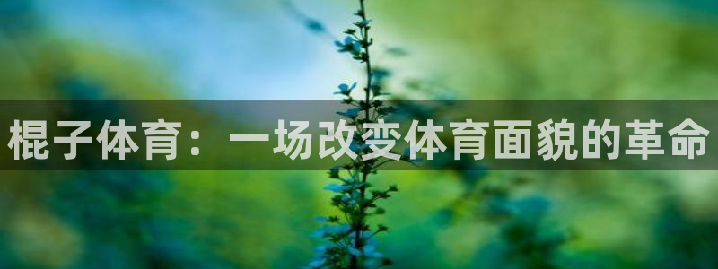风速体育app下载官网最新版