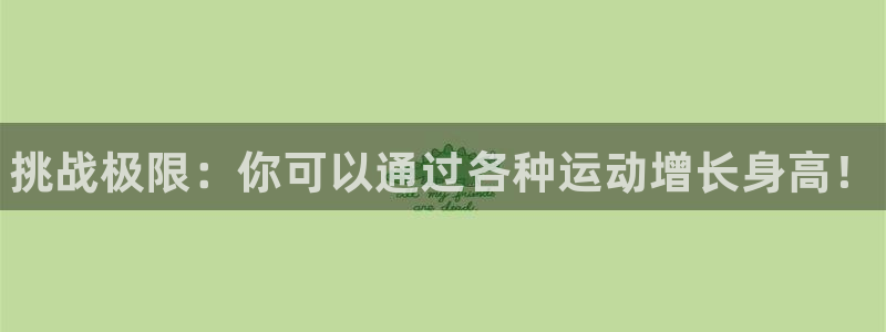 风速体育app官方下载
