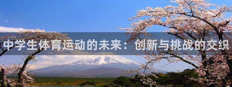 下载风速体育