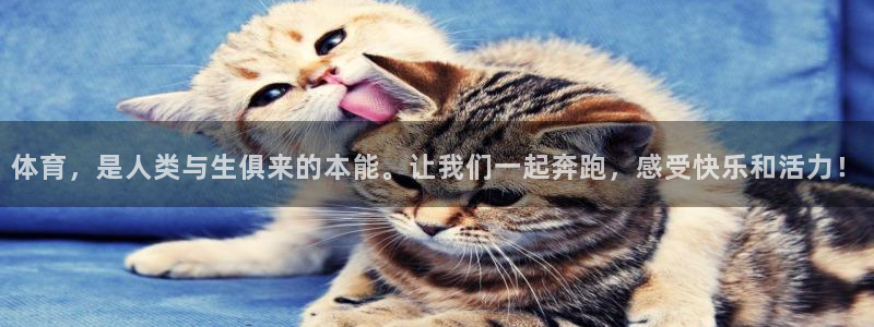 风速体育直播