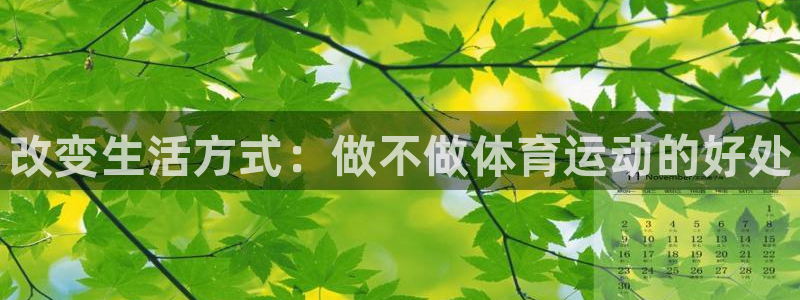 风速体育app下载安装最新版本