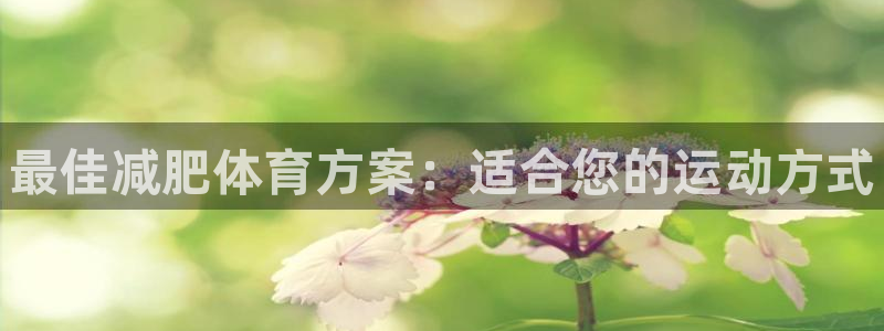 风速体育直播