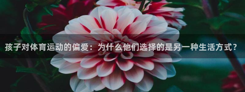 下载风速体育