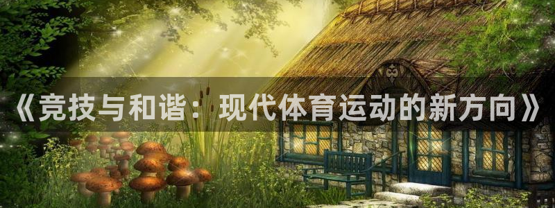风速体育app官方下载