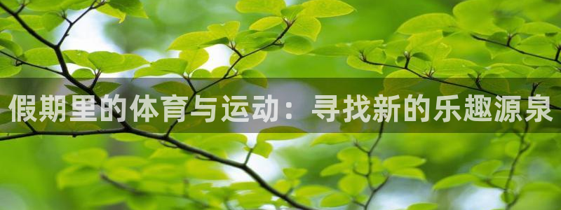 风速体育