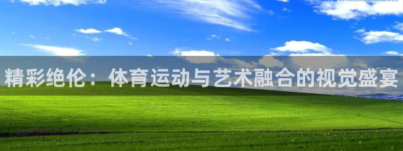 风速体育app官方下载