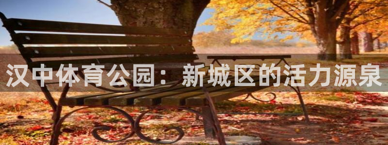 风速体育nba直播