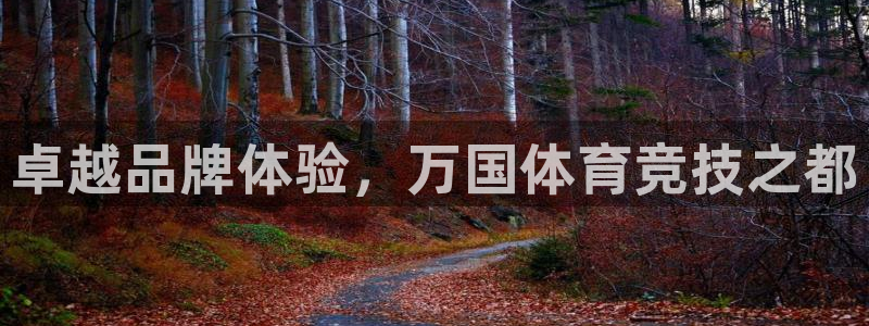 风速体育