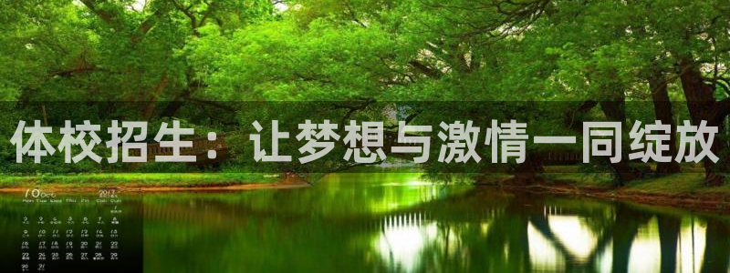 风速体育nba免费直播