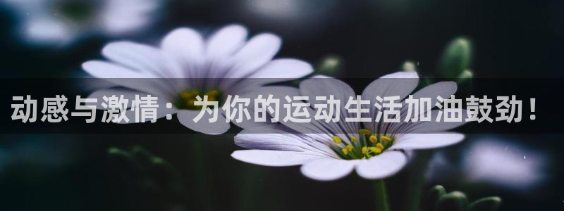 风速体育下载