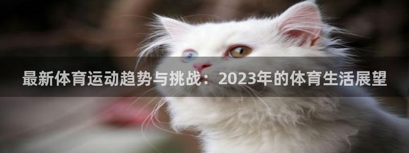 风速体育