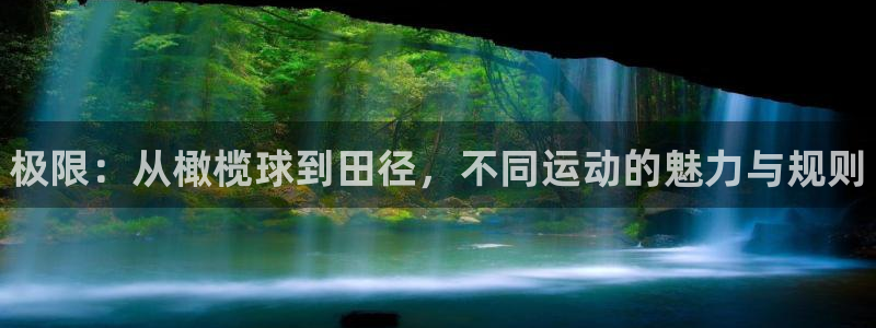 风速体育app