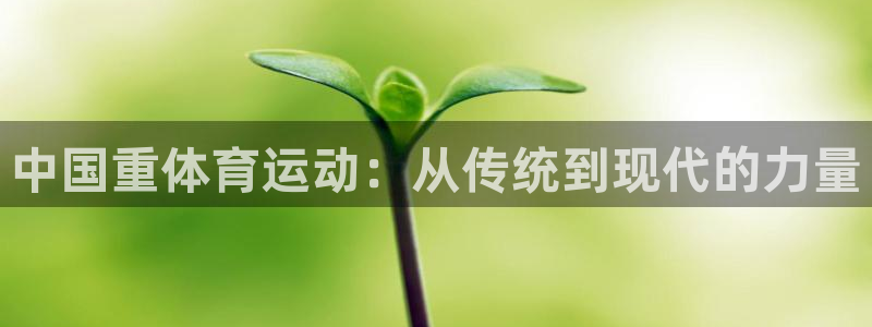 风速体育app下载安装最新版本