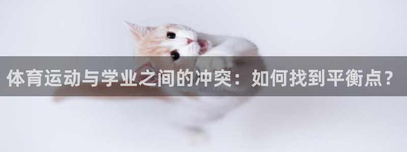 风速体育app