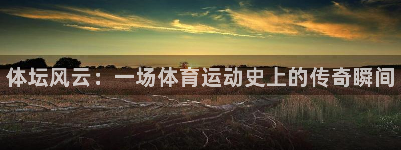 风速体育下载