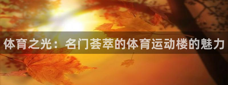 风速体育直播app