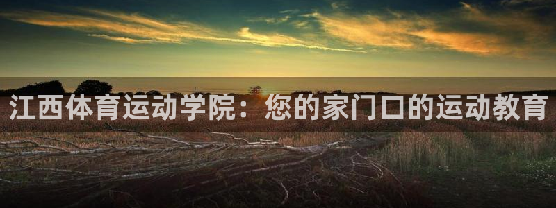风速体育直播app