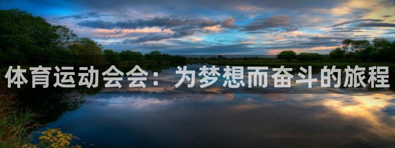 风速体育直播app
