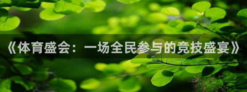 风速体育nba免费直播