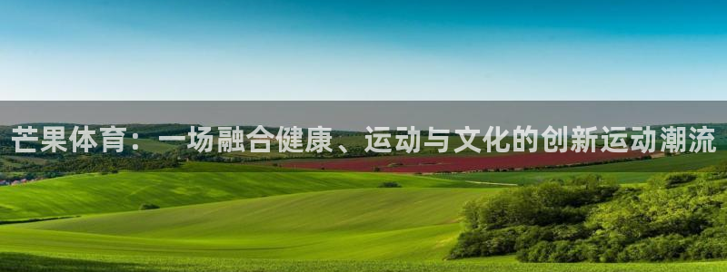 风速体育直播app