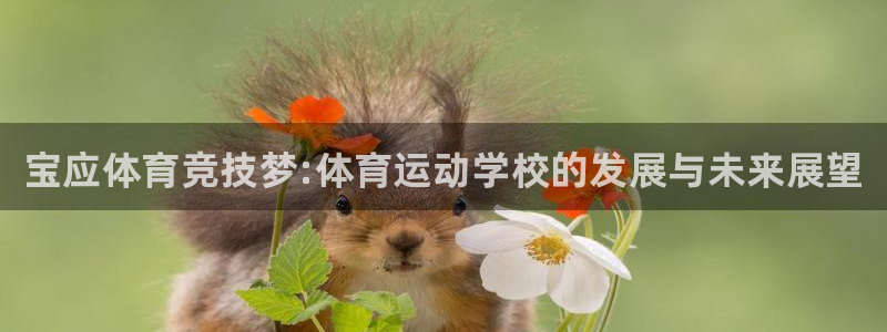 风速体育下载