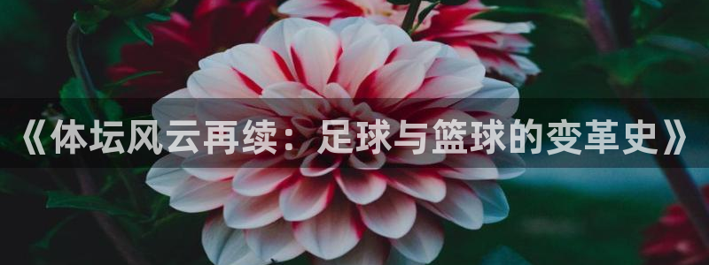 风速体育直播