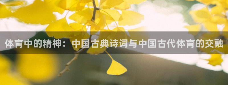 风速体育nba免费直播