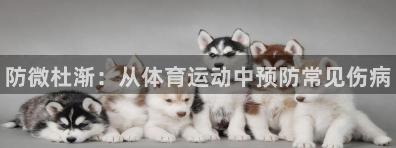 风速体育下载