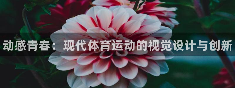 风速体育cba直播
