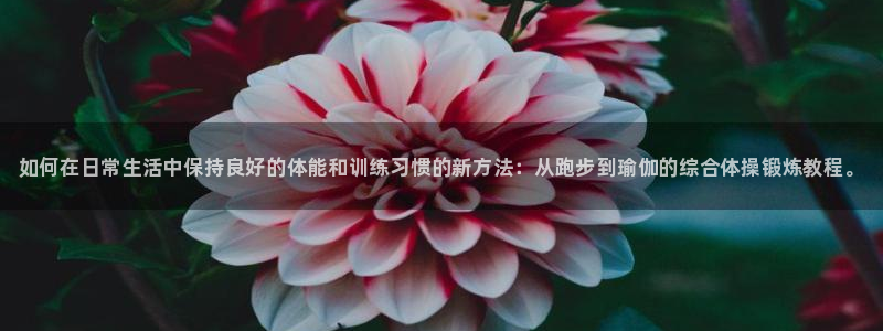 下载风速体育
